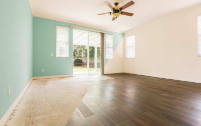 Descubre los mejores tipos de pintura para paredes interiores